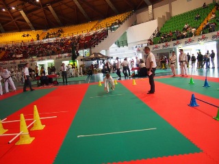 Image description